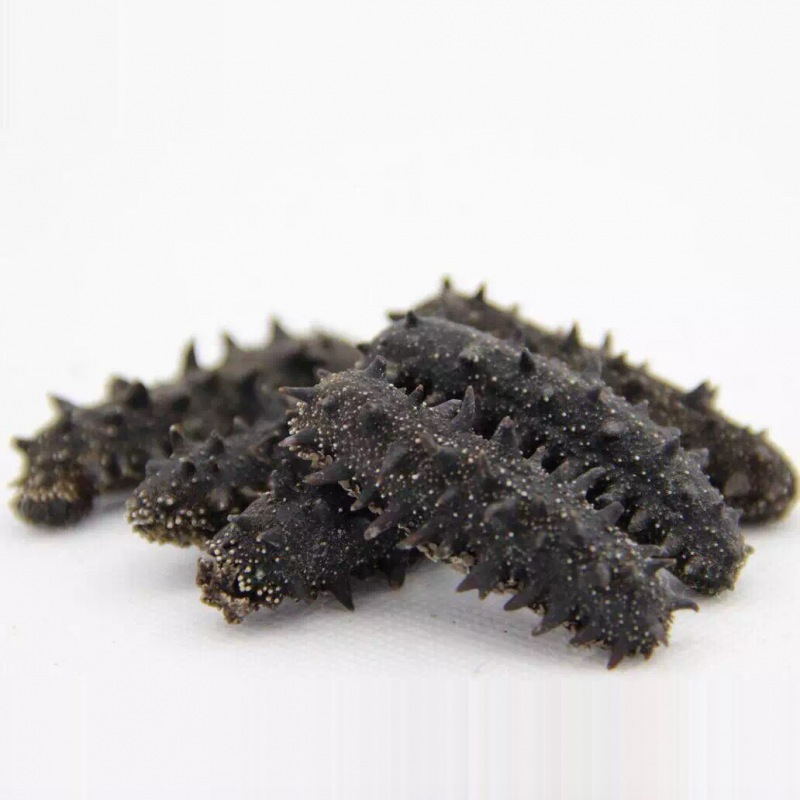 淡幹海參野生海參海參乾貨野生刺參